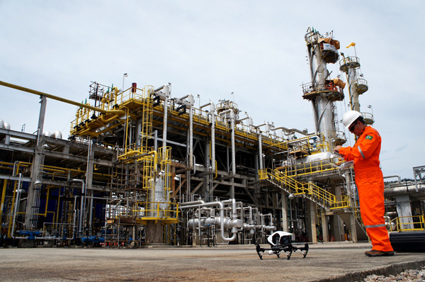API/Plant Inspection